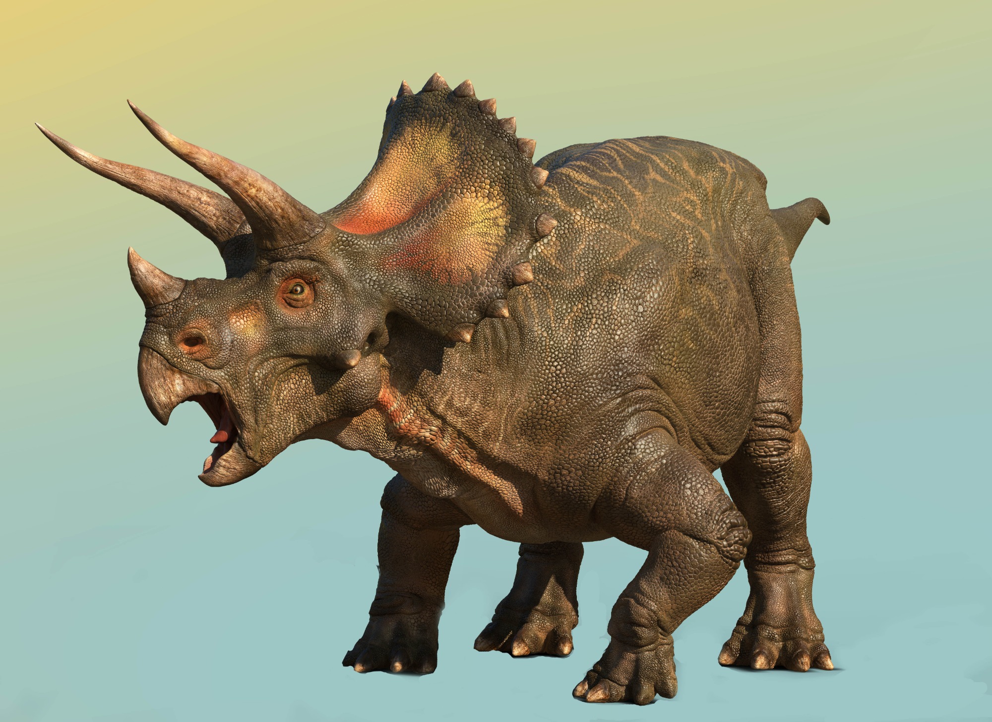 Triceratops sculpt by Peter Minister