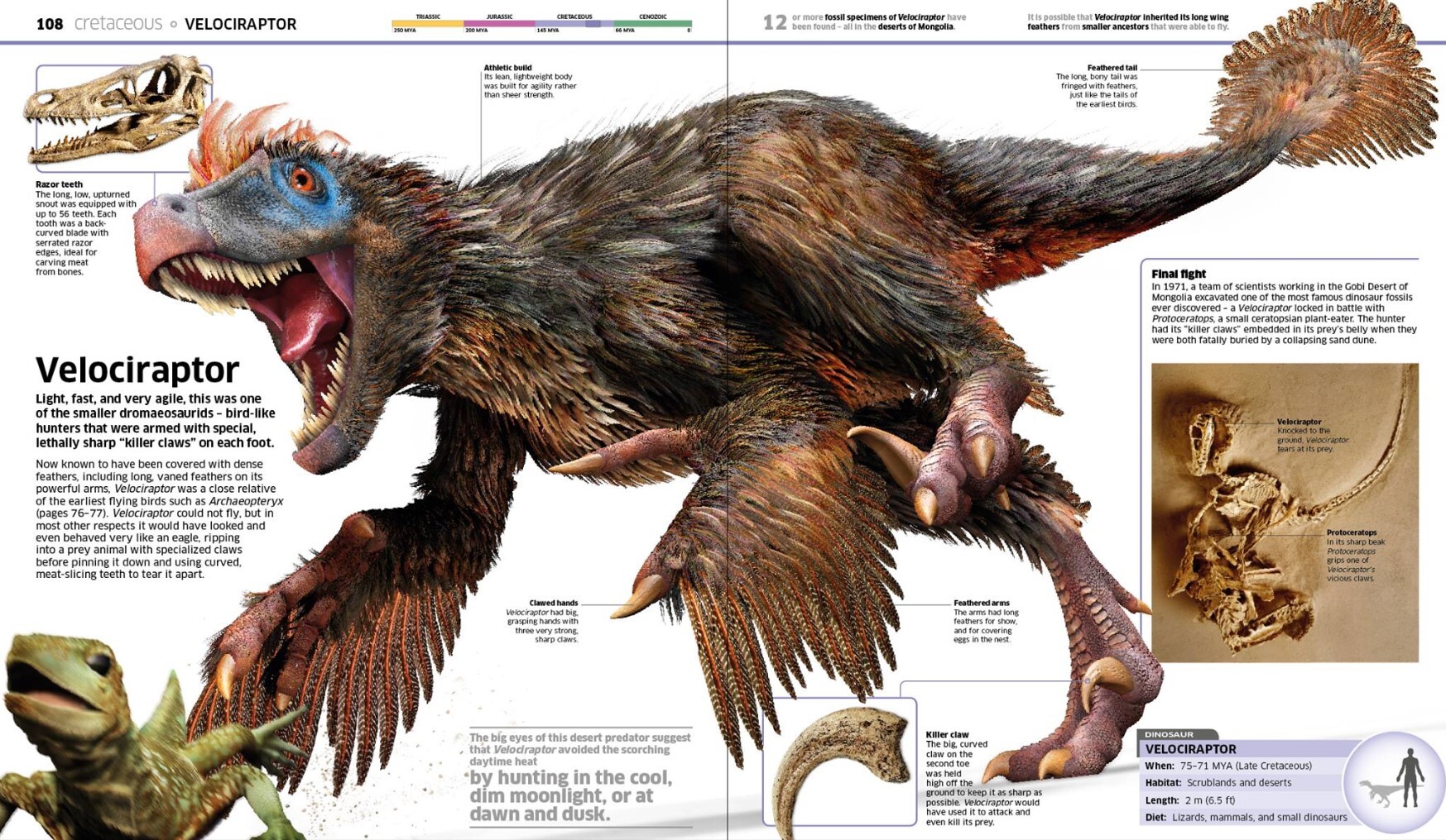 Velociraptor sculpt by Peter Minister