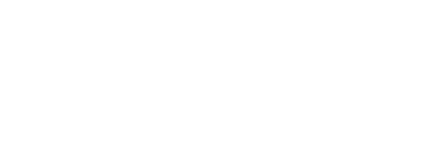 Snappy Gurus